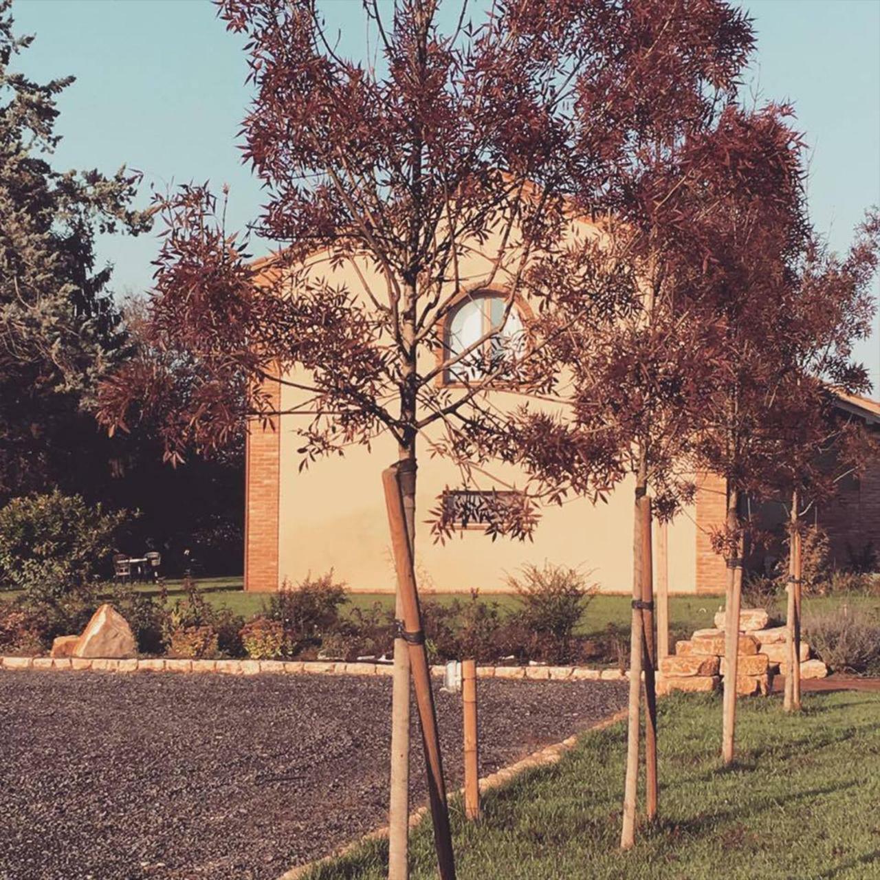 Agriturismo Bassanine Monticelli d'Ongina Ngoại thất bức ảnh